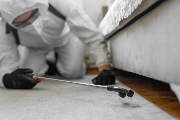 Professional Termite Control technician working in Harper, KS