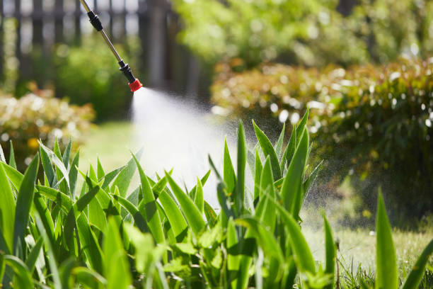 24/7 Emergency Termite Control experts in Harper, KS