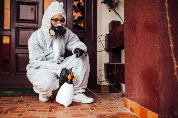 Reliable Termite Control contractor in Harper, KS by Nex Pest Control