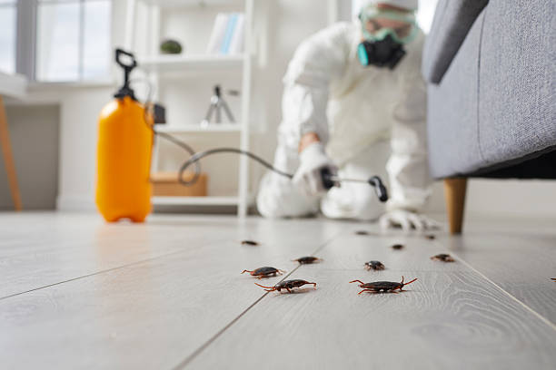 Affordable Termite Control solutions in Harper, KS